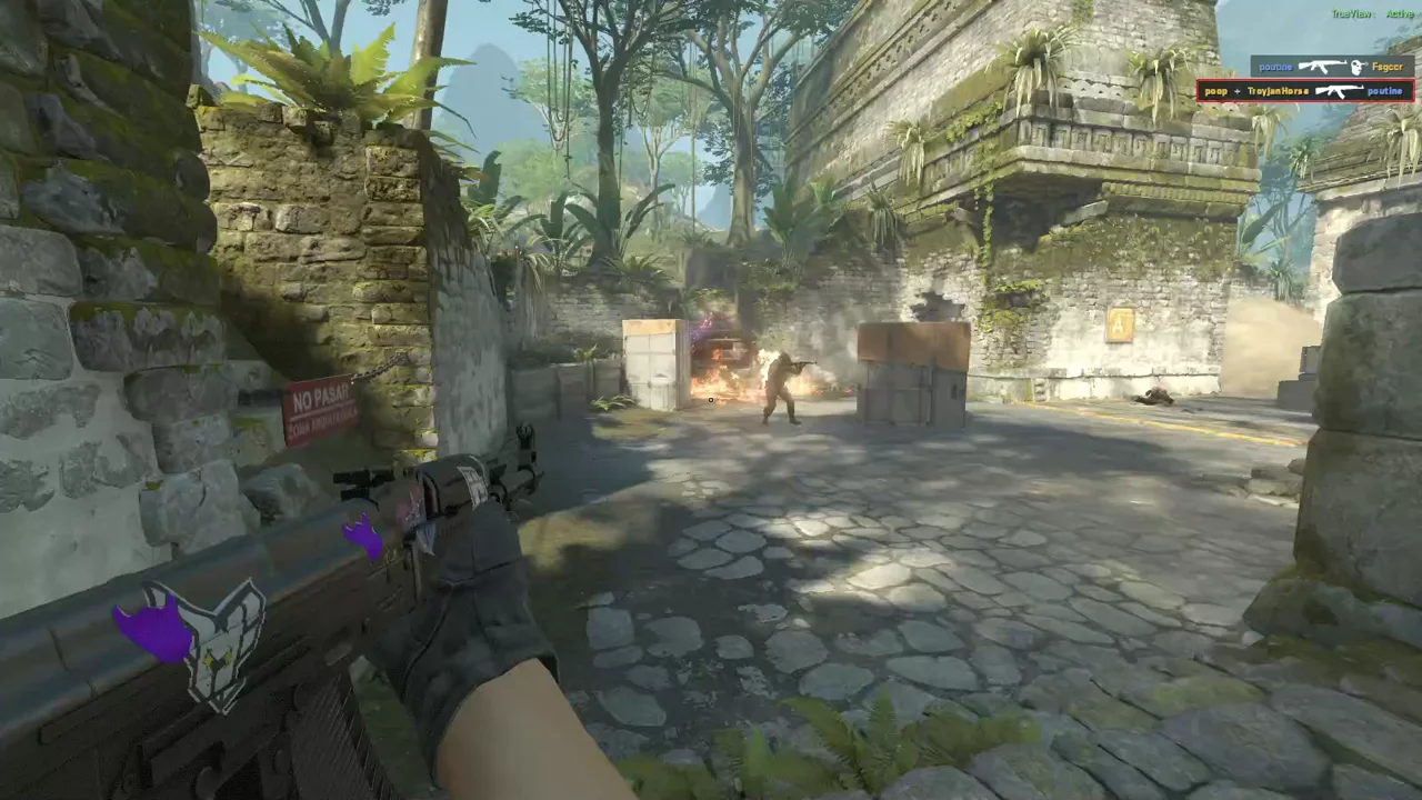 highlight